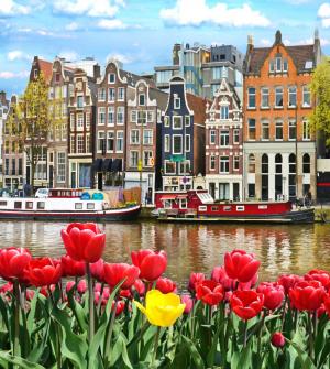 European Medicines Agency moves to Amsterdam and other news from EMA and CMDv