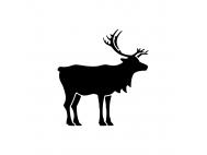 Reindeer pictogram approved for use in latest veterinary QRD template